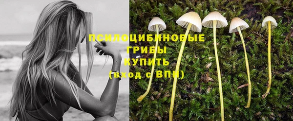 мдпв Снежногорск