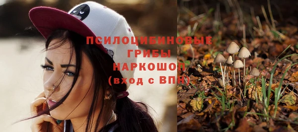 гашик Семёнов
