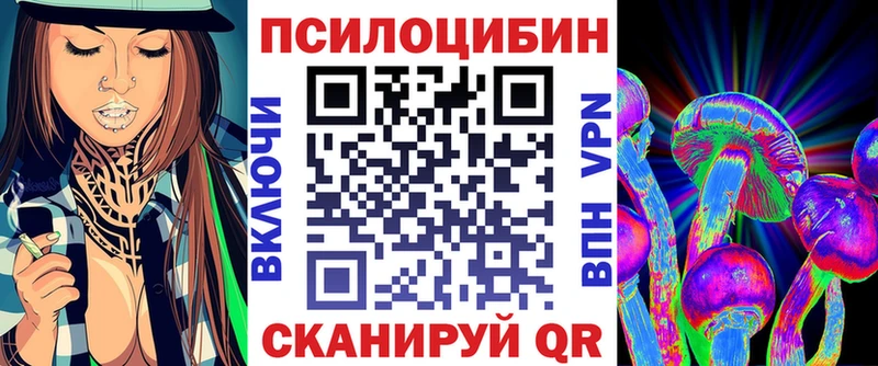 Купить где  Цивильск  Галлюциногенные грибы Psilocybe 